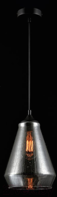 Потолочный светильник Maytoni Bergen T314-01-B