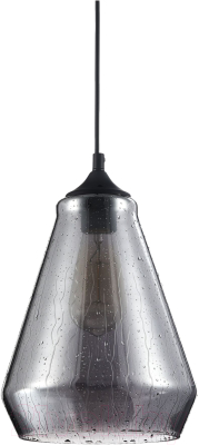 Потолочный светильник Maytoni Bergen T314-01-B