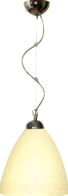Потолочный светильник Элетех Сканди НСБ 72-60 М55 / 1005251368 (шампань/матовый)