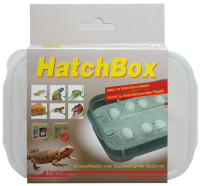 Контейнер для инкубации яиц Lucky Reptile HatchBox / HB-01 - 