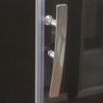 Душевая дверь Roth Proxima Line PXDO1N/110 (хром/прозрачное стекло)