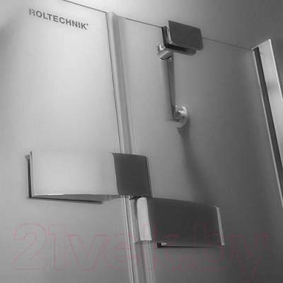 Душевая дверь Roth Elegant Line GDNP1/120 (хром/прозрачное стекло)