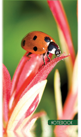 

Блокнот Magic Lines, Божья коровка А6 / 40BO6M5CCC