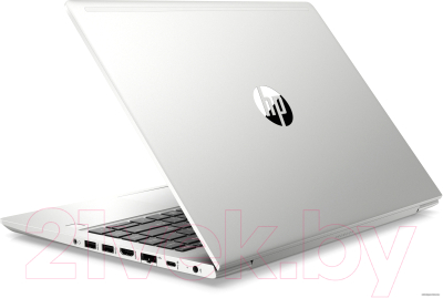 Ноутбук HP ProBook 445 G7 (7RX17AV)