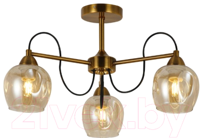 

Люстра Evoluce, Acro SLE110002-03