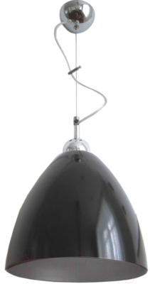 Потолочный светильник Элетех Сканди дуэт НСБ 72-60 М55 / 1005251541 (черный/серебристый)