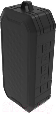Портативная колонка Ritmix SP-350B (черный)