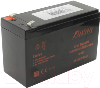 

Батарея для ИБП PowerMan, CA1290 PM/UPS 12V/9AH (6120493)