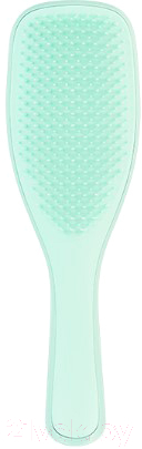 Расческа-массажер Tangle Teezer The Wet Detangler Fine & Fragile Sea Spray Green