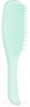 Расческа-массажер Tangle Teezer The Wet Detangler Fine & Fragile Sea Spray Green