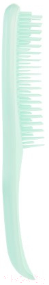 Расческа-массажер Tangle Teezer The Wet Detangler Fine & Fragile Sea Spray Green