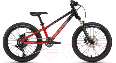 

Детский велосипед Rocky Mountain, Vertex 20 2020 / B0050-1