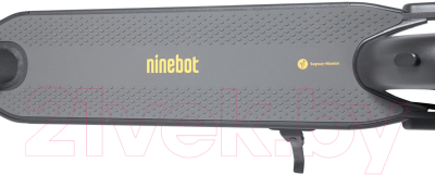 Электросамокат Ninebot KickScooter Max G30 + колонка Shamrock BT
