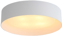Потолочный светильник ST Luce Chio SL392.502.04 - 