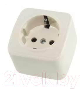 

Розетка TDM, Дача SQ1824-0021