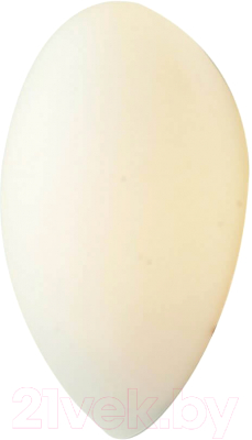 

Светильник ST Luce, Bagno SL507.551.01