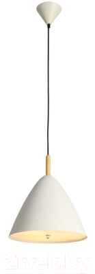 

Потолочный светильник ST Luce, Codel SL522.513.01