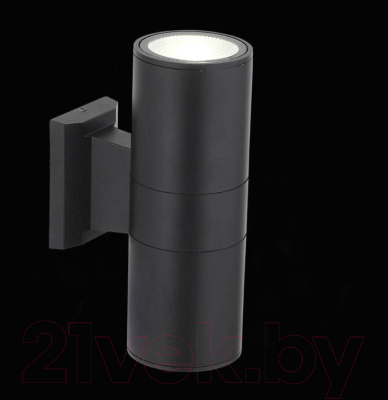 Бра уличное ST Luce Tubo2 SL074.401.02