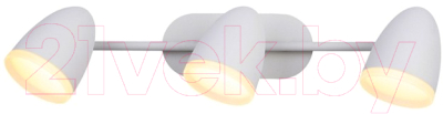 

Спот ST Luce, Padivo SL387.501.03