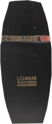 

Туалетная вода Lomani, Black Wood for Men