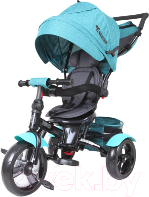Трехколесный велосипед с ручкой Lorelli Neo Eva Wheels Green Luxe / 10050330017