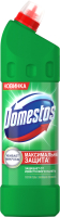 

Универсальное чистящее средство Domestos, Двойная сила. Хвойная свежесть