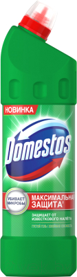 Универсальное чистящее средство Domestos Двойная сила. Хвойная свежесть (1л)