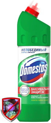 Универсальное чистящее средство Domestos Двойная сила. Хвойная свежесть (1л)