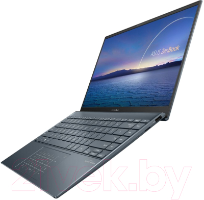 Ноутбук Asus ZenBook 14 UX425JA-BM102T