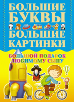 

Развивающая книга Харвест, Большой подарок любимому сыну