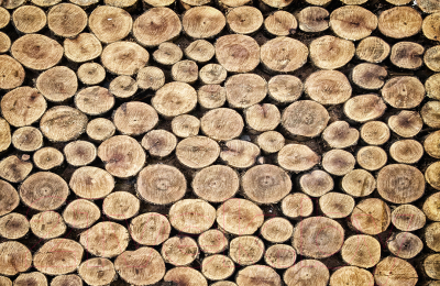 Фотообои листовые Vimala Стопка дров (280x300, камень)