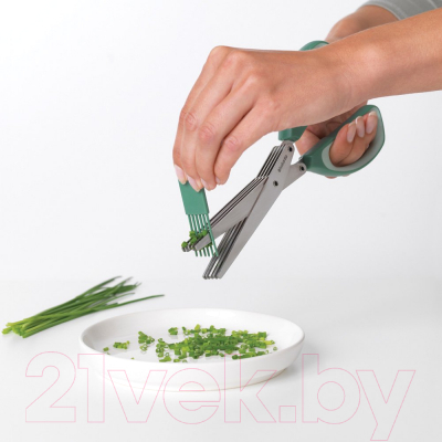 Ножницы кухонные Brabantia Tasty+ / 121685 (зеленая пихта)