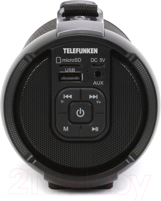 Портативная колонка Telefunken TF-PS1243B (черный)