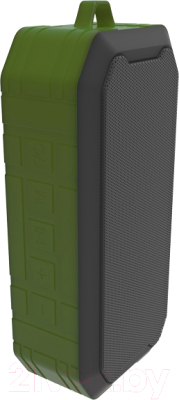 Портативная колонка Ritmix SP-350B (зеленый)