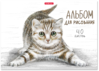 Альбом для рисования Erich Krause Tabby / 49844 - 