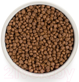 Сухой корм для кошек Grandorf Living Probiotics Adult Indoor 4 Meat&Brown Rice (0.4кг)