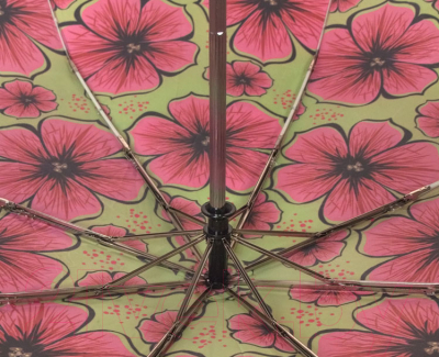 Зонт складной Ame Yoke ОК581 (розовый цветок/салатовый)