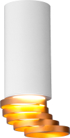 Точечный светильник Elektrostandard DLN102 GU10 (белый/золотистый) - 