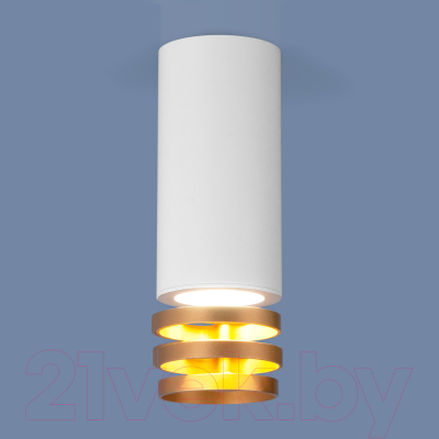 Точечный светильник Elektrostandard DLN102 GU10 (белый/золотистый)