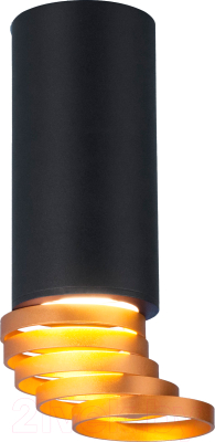 Точечный светильник Elektrostandard DLN102 GU10 (черный/золотистый)