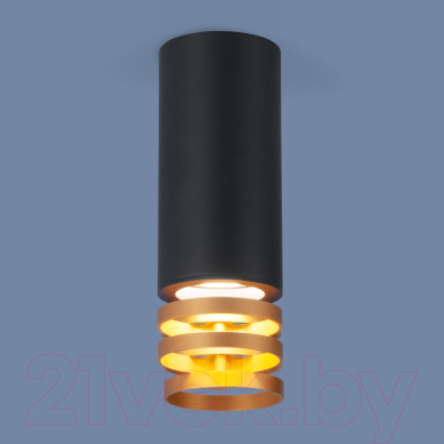 Точечный светильник Elektrostandard DLN102 GU10 (черный/золотистый)