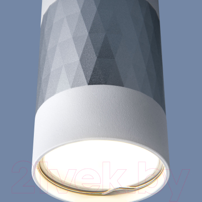 Точечный светильник Elektrostandard DLN110 GU10 (белый/серебристый)