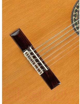 Акустическая гитара Alhambra 5P