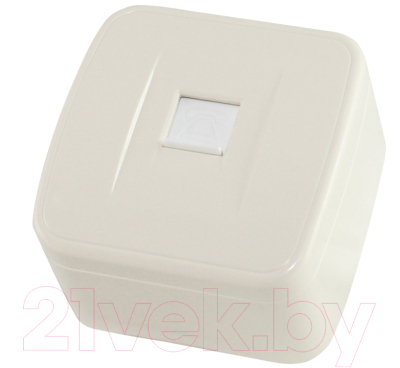

Розетка TDM, Дача SQ1824-0025