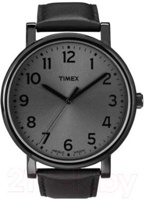Часы наручные мужские Timex T2N346