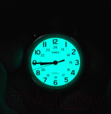 Часы наручные мужские Timex T2N654