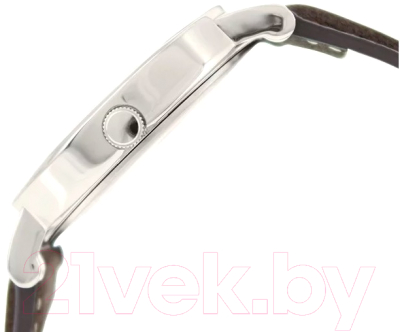 

Часы наручные мужские Timex, T2P526