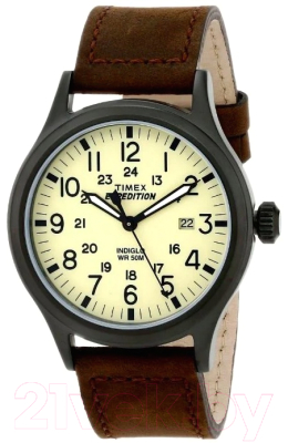 

Часы наручные мужские Timex, T49963