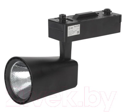 Трековый светильник ЭРА TR4-20 BK / Б0032166 (черный)
