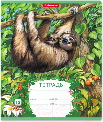 

Тетрадь Полиграфика, Джунгли / 46541